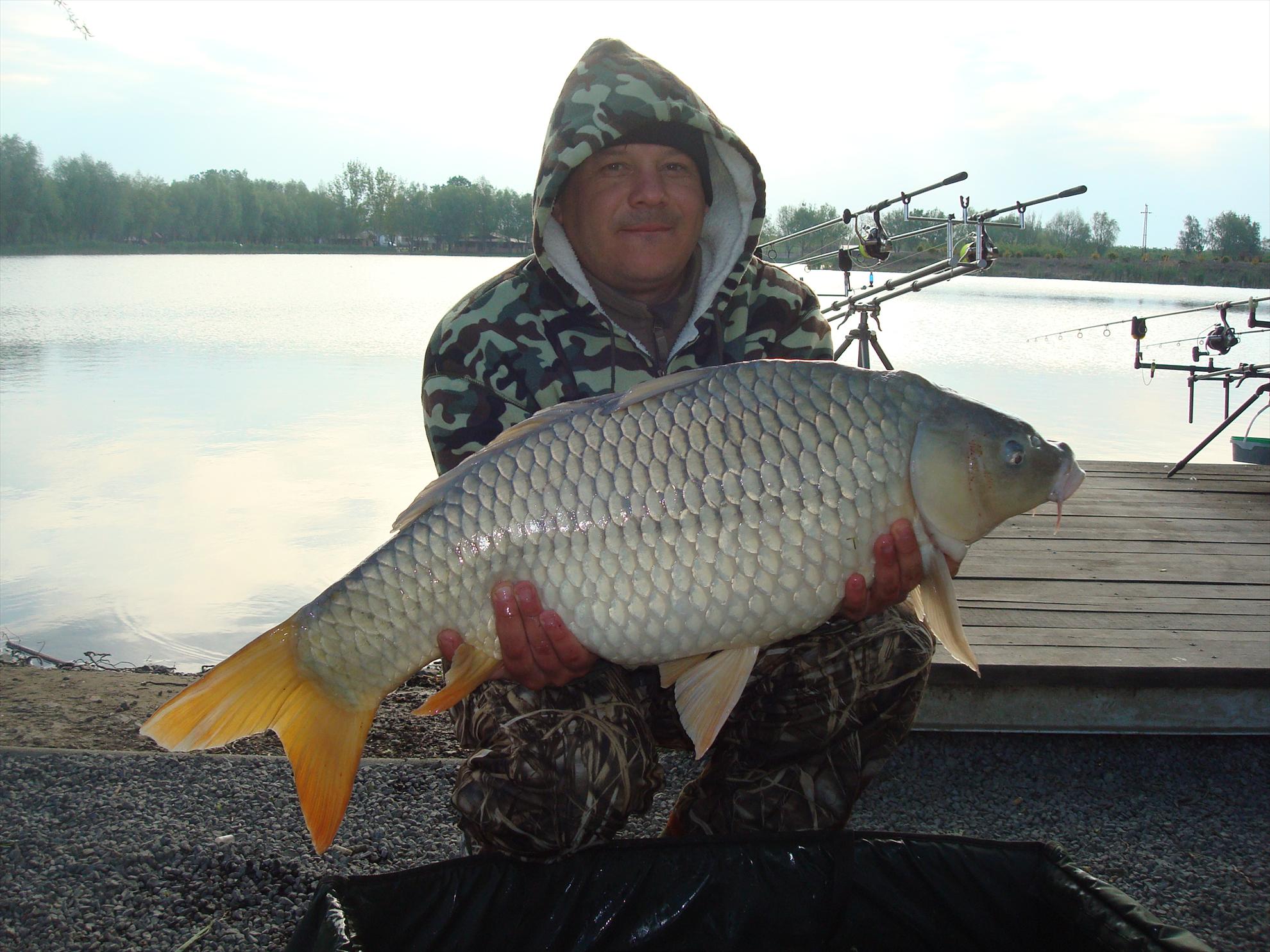 pescuit pe o balta superba - dsc07540.JPG